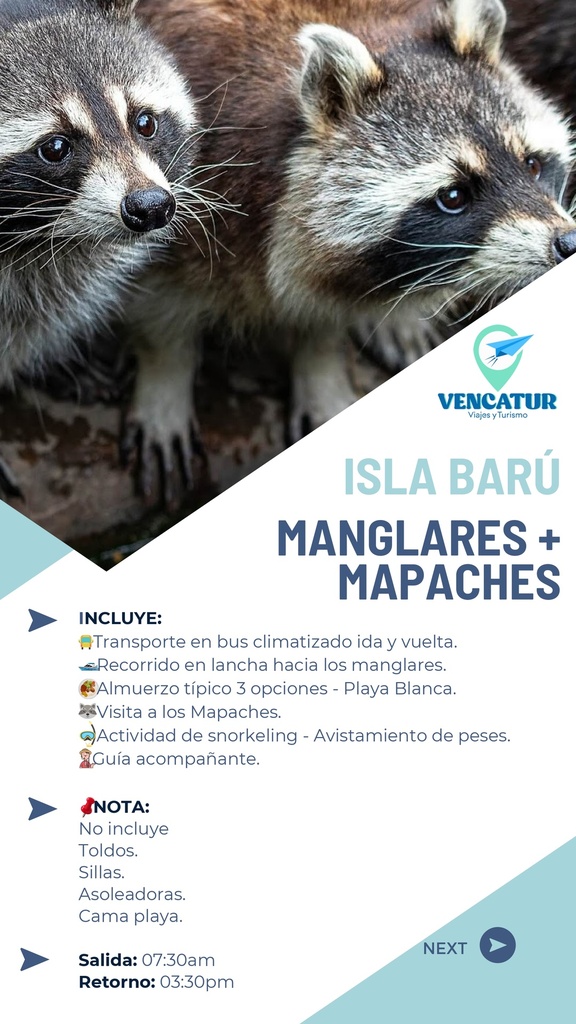 ISLA BARÚ MANGLARES + MAPACHES